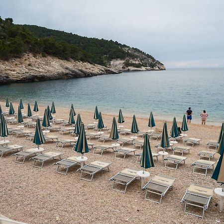 La Finestra Sul Mare - Antonella Apartment Vieste Eksteriør billede